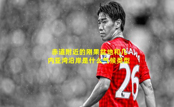 赤道附近的刚果盆地和几内亚湾沿岸是什么气候类型