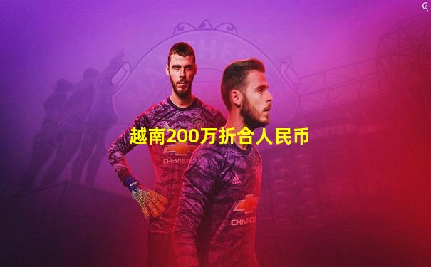 越南200万折合人民币