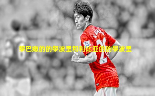 黎巴嫩的的黎波里和利比亚的的黎波里