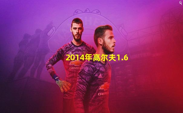 2014年高尔夫1.6