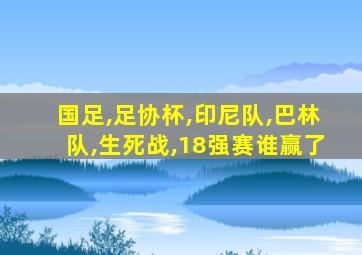 国足,足协杯,印尼队,巴林队,生死战,18强赛谁赢了