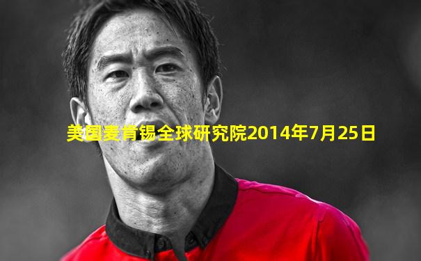 美国麦肯锡全球研究院2014年7月25日