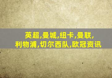 英超,曼城,纽卡,曼联,利物浦,切尔西队,欧冠资讯